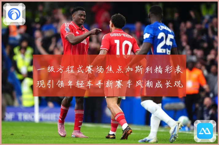 一级方程式赛场焦点加斯利精彩表现引领年轻车手新赛季风潮成长观察：最新赛事动态与深度分析